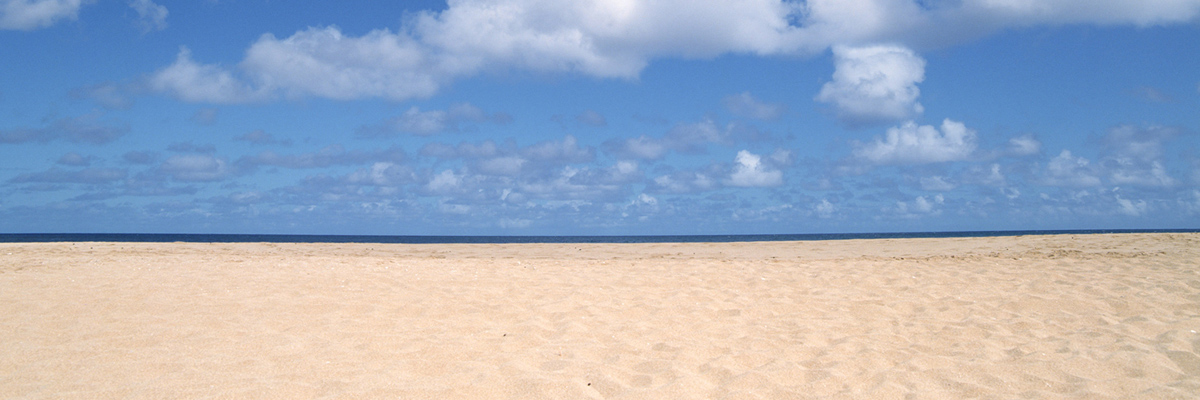 徳島県で相続・遺言に強いおすすめの弁護士一覧