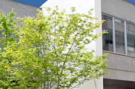 あわ共同法律事務所