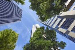 白川剛法律事務所